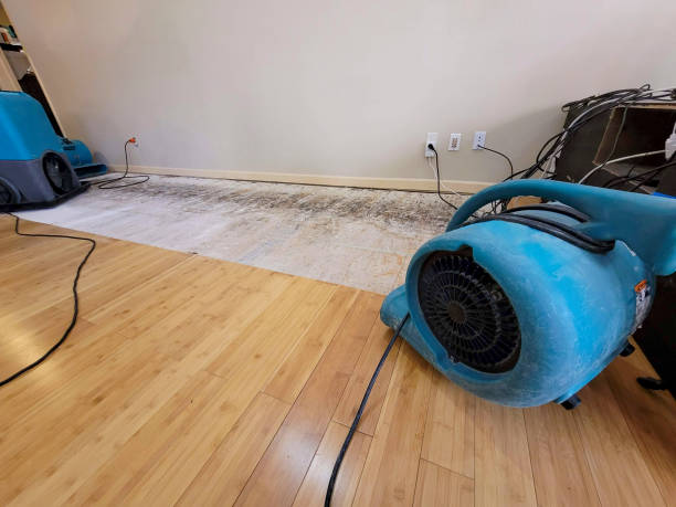 Professional Sewage Cleanup technician working in Kayenta, AZ